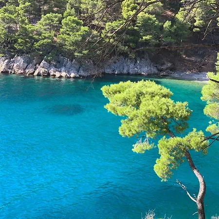 Hébergement de vacances Salbunara Zen Seafront