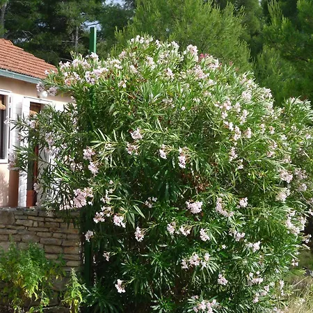 Salbunara Zen Seafront Hébergement de vacances *