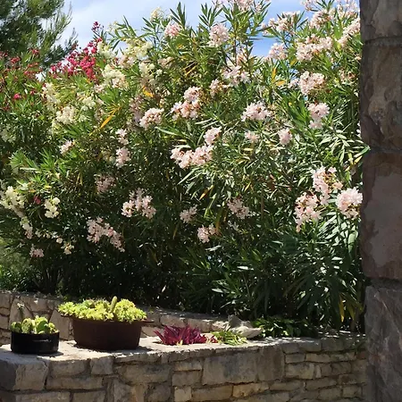 Salbunara Zen Seafront