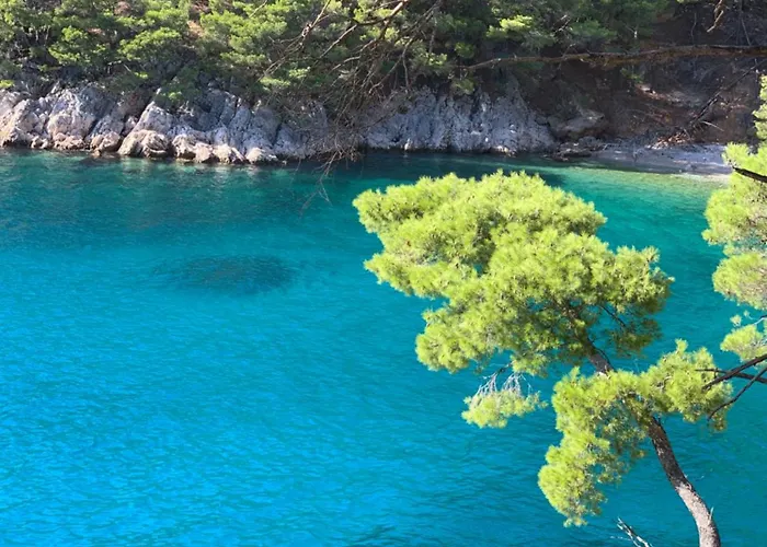 펜션 Salbunara Zen Seafront